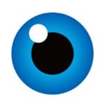 GlobalSign logo