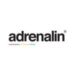 Adrenalin eSystems Limited logo