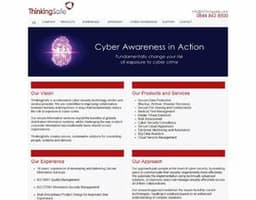 ThinkingSafe logo