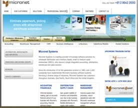 Micronet Systems logo