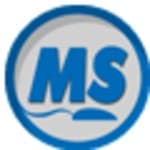 Millennium Systems logo