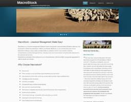 MacroStock logo