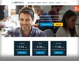 Netmoly logo