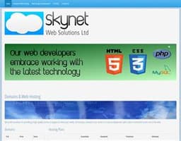 Skynet Web Solutions Ltd logo
