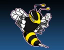 MadBeeTech Web Hosting logo