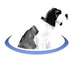 BerniePortal logo