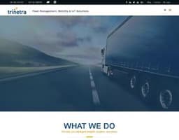 Trinetra Wireless logo