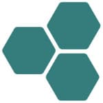 Enswarm logo